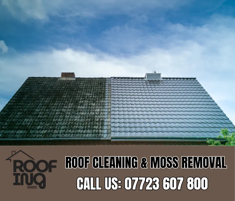 Roof cleaning and moss removal in Truro